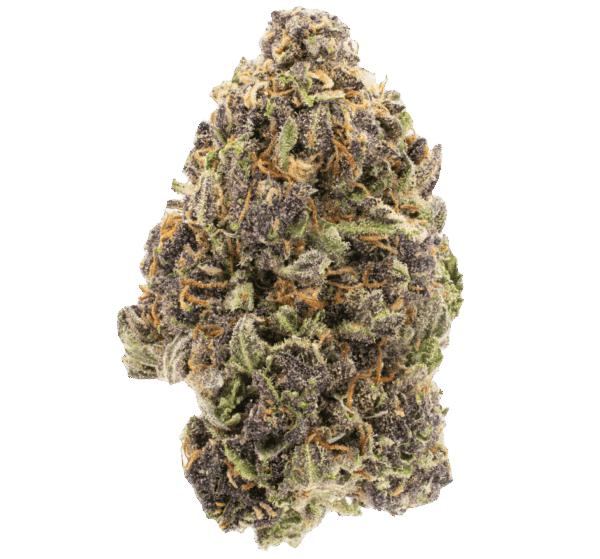 THC Flower - Grandaddy Purp