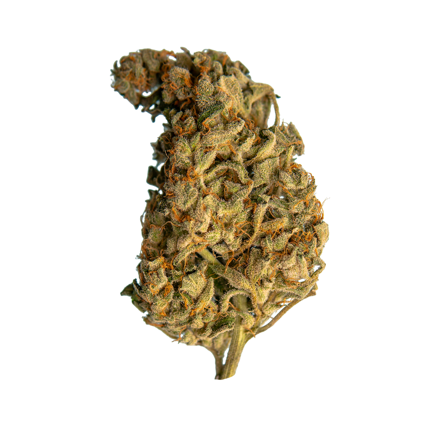 THC Flower - Tropicana Cookies