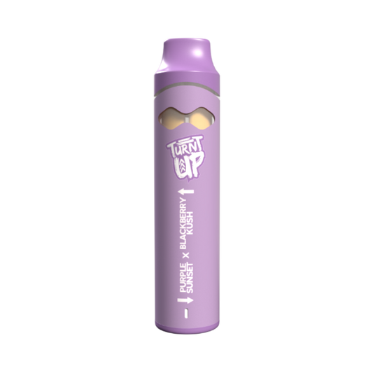 2g Dual Flavor Disposable - Purple Sunset x Blackberry Kush